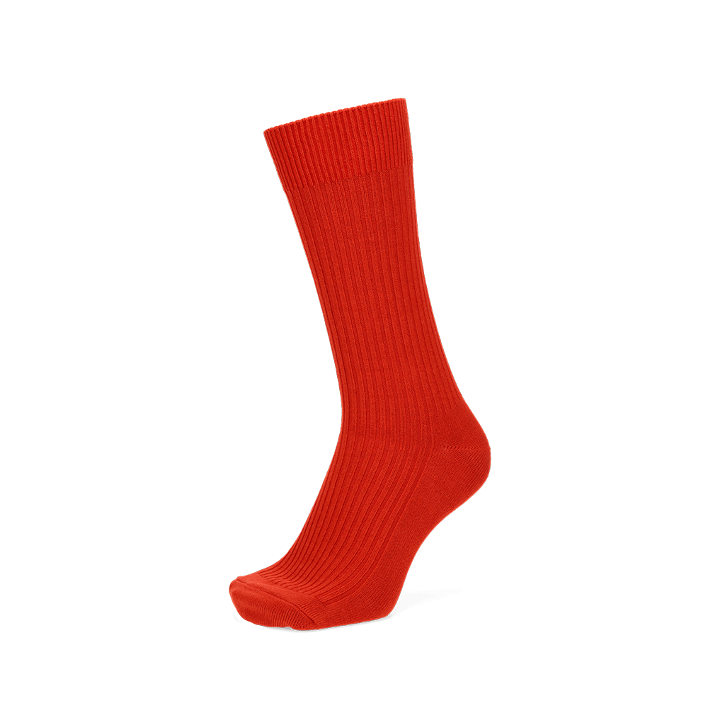 Regnsncox | Power Fit Cotton Crew Socks for Everyday Comfort and Active Use