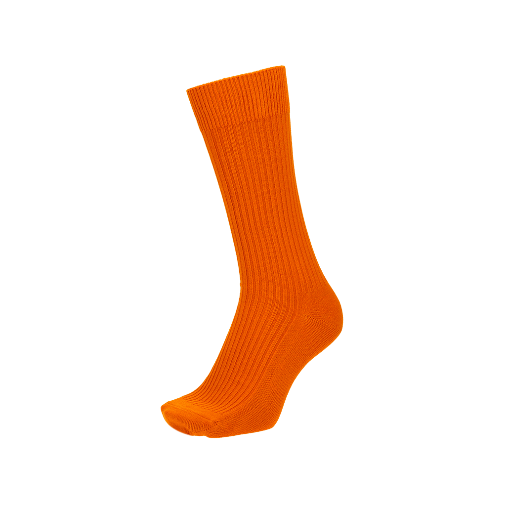 Regnsncox | Power Fit Cotton Crew Socks for Everyday Comfort and Active Use