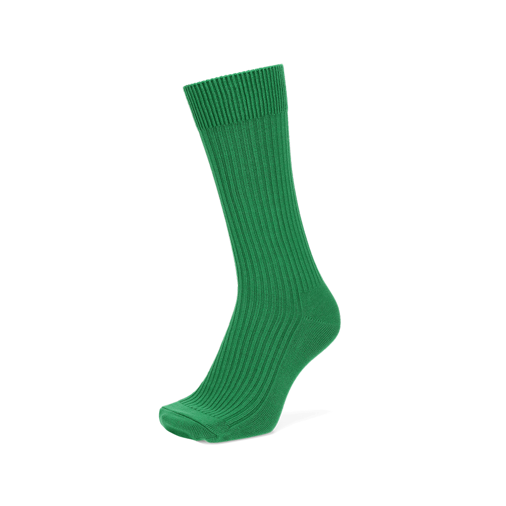 Regnsncox | Power Fit Cotton Crew Socks for Everyday Comfort and Active Use