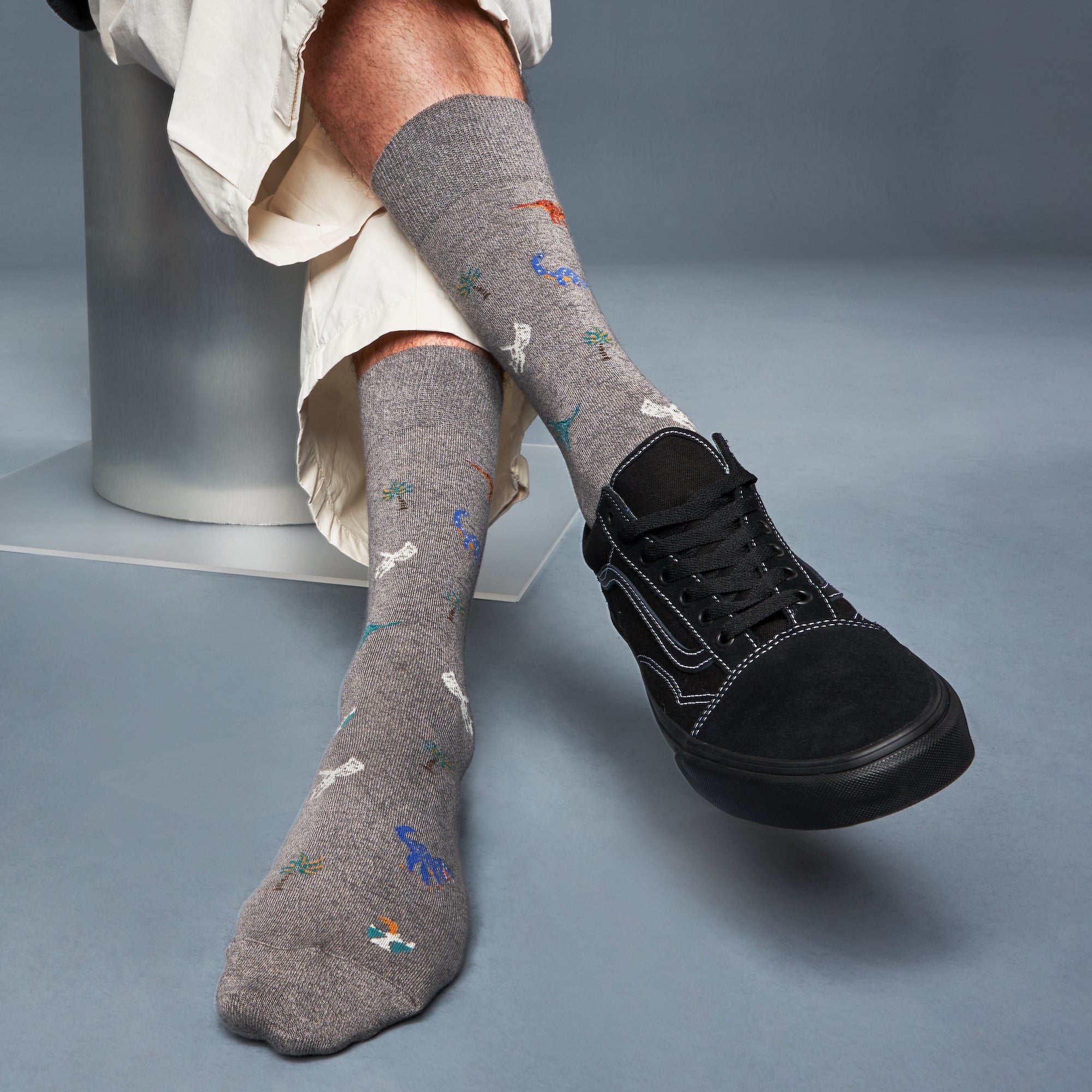 Regnsncox | Cotton Crew Socks with Detailed Dinosaur Pattern and Fine Knit