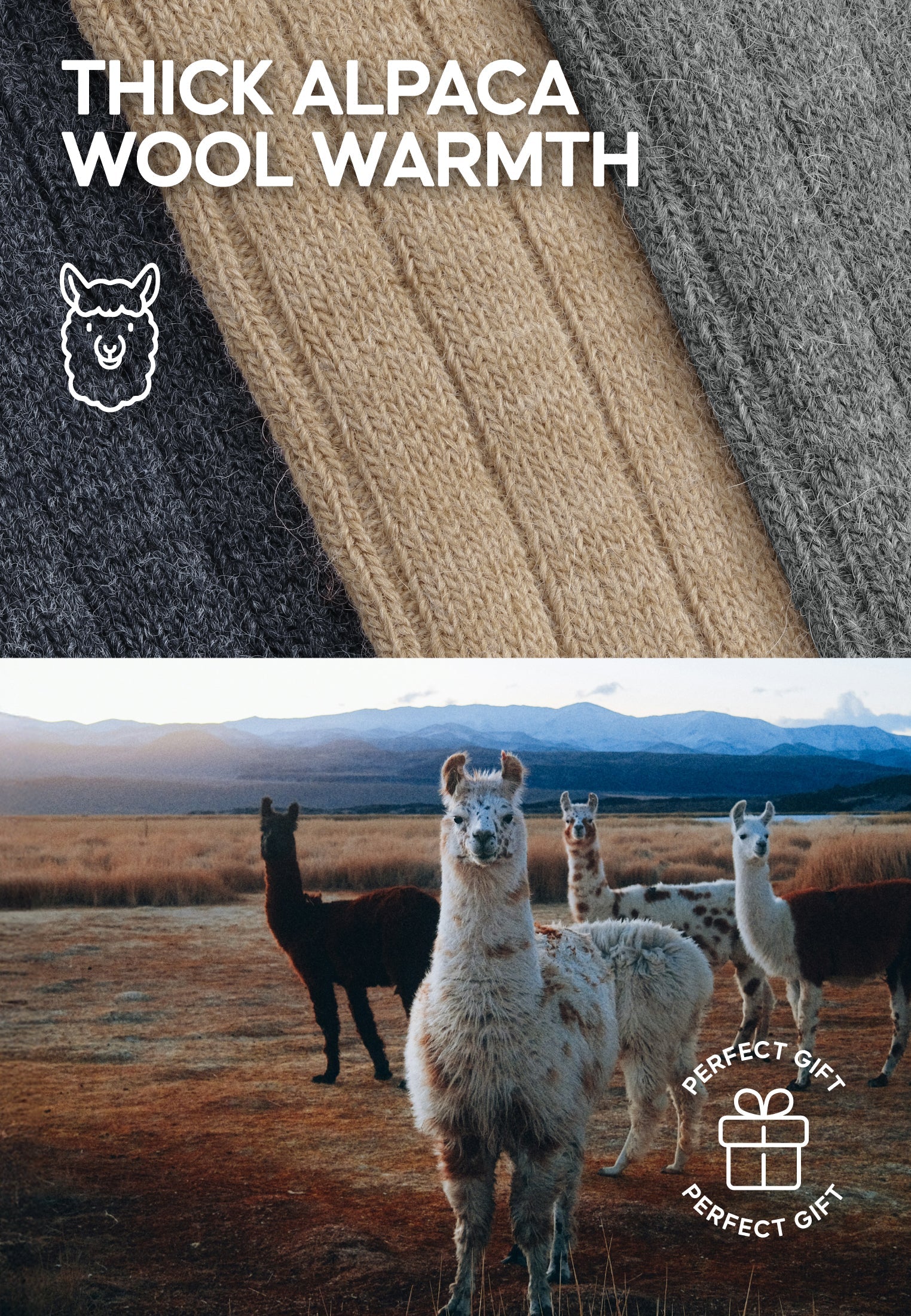 Regnsncox | Alpaca Wool Socks for Everyday Winter Warmth