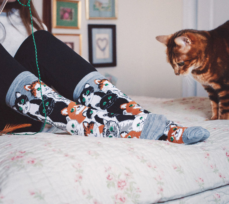Regnsncox | Multi Cat Pattern Bamboo Crew Socks for Everyday Wear